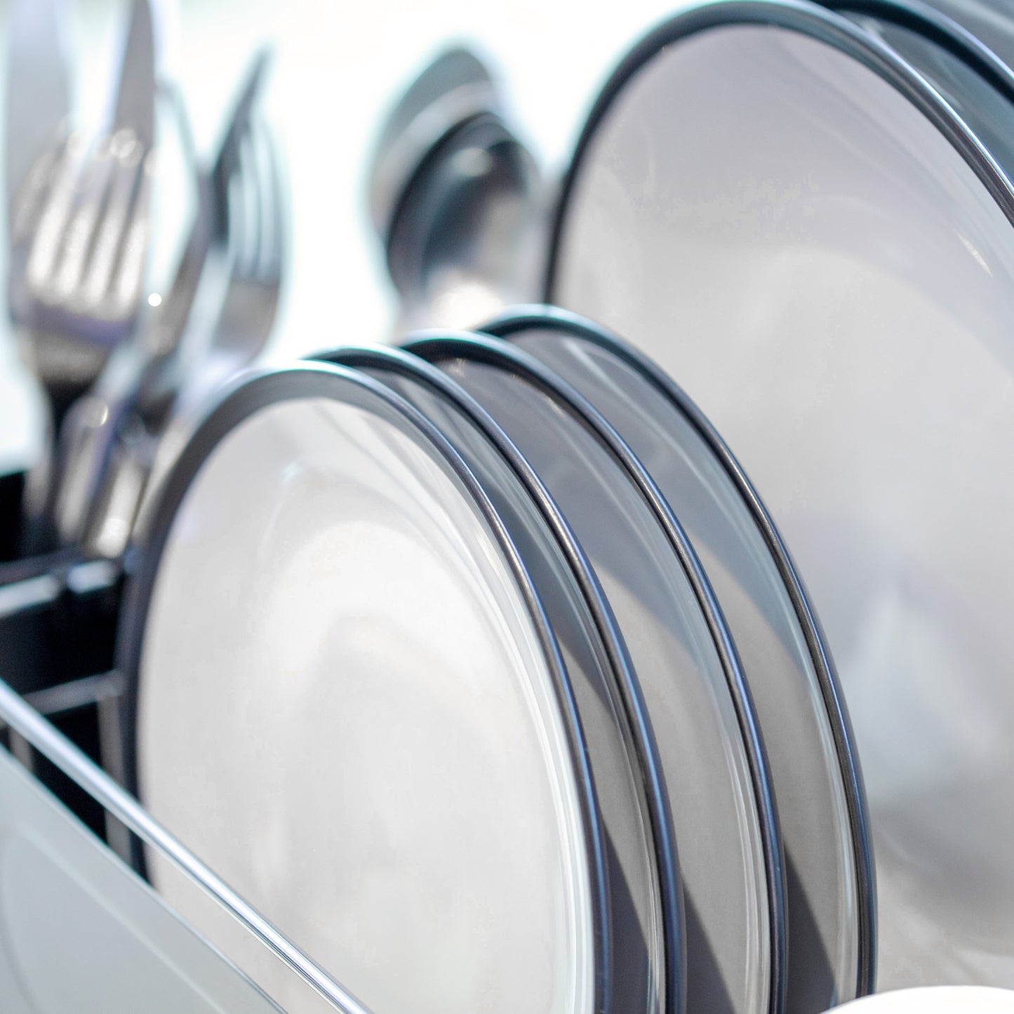 Stainless Steel Dish Drainer with Black Cutlery Holder & Drip Tray